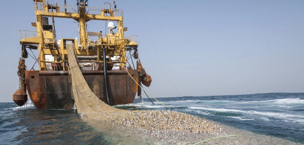 Sénégal: 24 navires de pêche sanctionnés depuis janvier 2024 pour diverses infractions