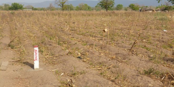 Secteur foncier: Tout lotissement de terrain désormais soumis à l&#039;autorisation gouvernementale au Togo