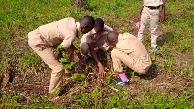 Environnement: Le lycée de Sada procède au reboisement de 1500 plants mis en terre