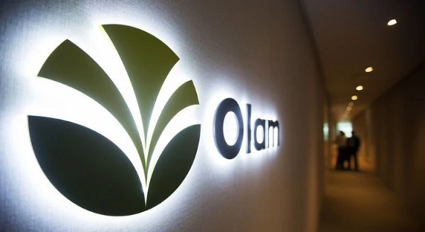 Nigéria: Le groupe Olam réfute les accusations de fraude 50 milliards de dollars sur le marché des changes
