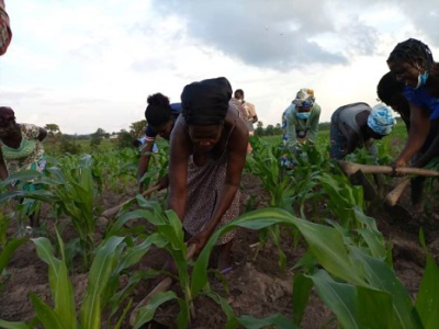 Modernisation de l'agriculture : Plus de 222 Zaap déjà installées sur les 400 prévues d'ici 2025 au Togo