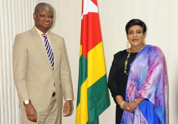 Assemblée nationale: Aliou Dia fait le point de sa mission au Togo avec la Présidente Mme Yawa Djigbodi Tsègan
