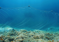Science: Vers des filets de pêche biodégradables