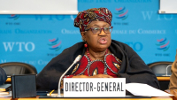 OMC: DG Okonjo-Iweala: “Nous avons fort à faire” pour obtenir des résultats concrets à la CM13