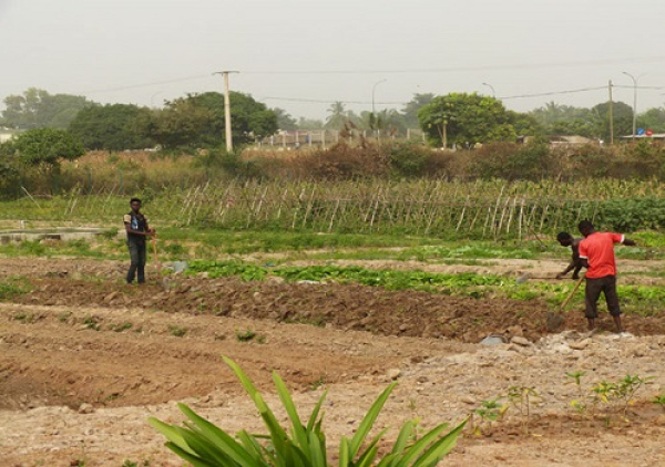 40 000 agriculteurs secourus dans la région des Savanes