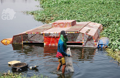 Innovation: Togbui Sylvain Ayivon-Dagban construit un Bassin piscicole flottant