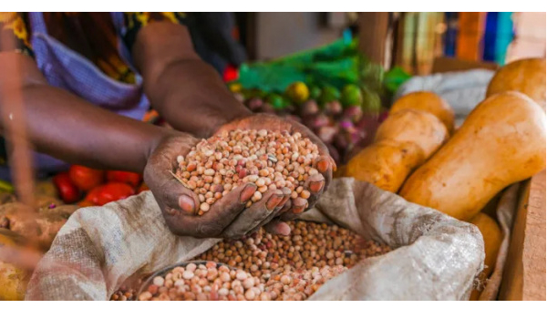 Agriculture : Les projets de sécurité alimentaire se succèdent au Togo
