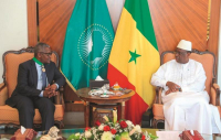 Dangote investira soit un peu plus de 600 milliards de FCFA dans le phosphate au Sénégal