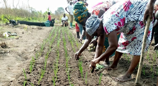 Autonomisation des femmes rurales: Les coopératives de femmes agricoles en vogues
