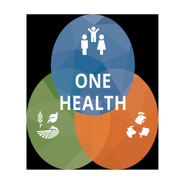 &#039;One Health&#039;, nouvel outil innovant pour le bien-être des Togolais