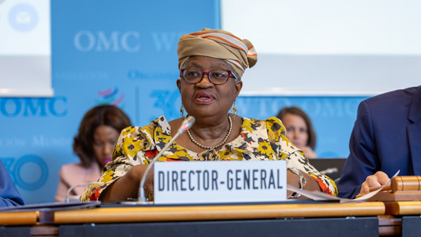 OMC: Un groupe africain demande à Ngozi Okonjo-Iweala de se rendre disponible pour un second mandat.