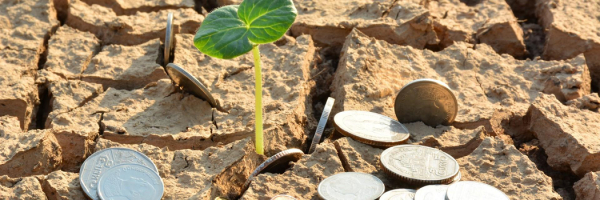 Climate finance: nearly US$3 trillion needed to implement Africa&#039;s NDCs
