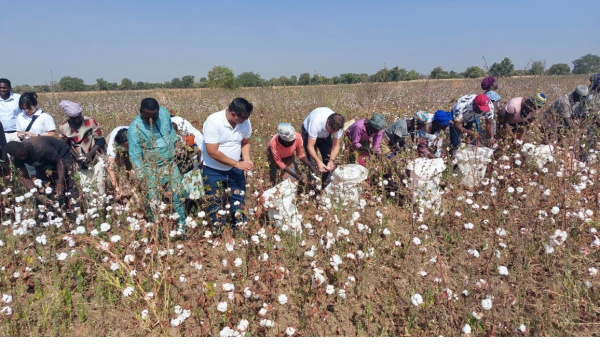 Filière coton : Le Projet d&#039;appui à la production durable du coton va propulser des milliers de producteurs togolais