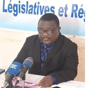 LEGISLATIVES ET REGIONALES 2024 : Pour le NDH-Togo &quot;le scrutin du 29 Avril s’est déroulé de façon acceptable&quot;