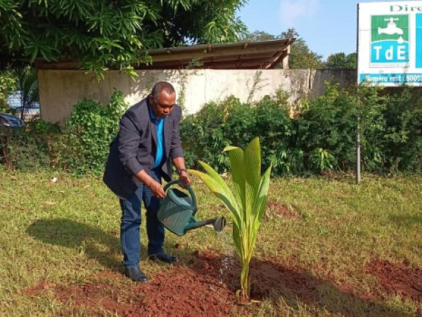Journée de l&#039;arbre 2024: Yawanké Waké Gbati, le DG de la TdE a mis en terre un plan sur le site de production à Caccavelli