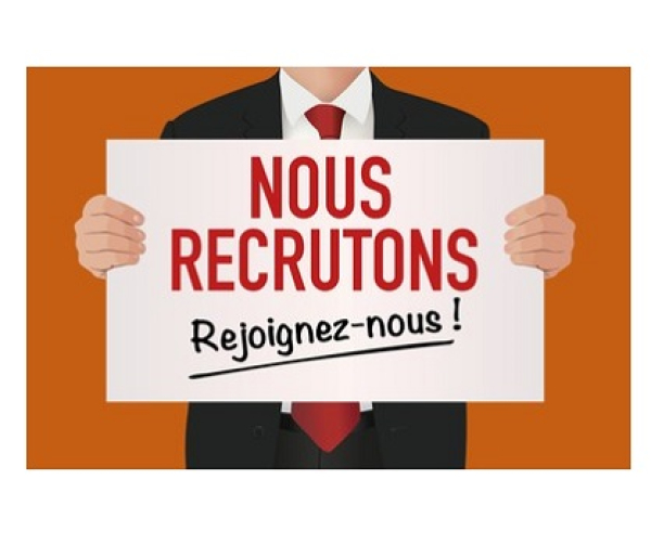 Recrutement: Le Togo cherche un Directeur pour piloter le programme NanaTech