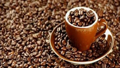 Filière Café : Le Togo veut atteindre une production de 50.000 tonnes à l’horizon 2030