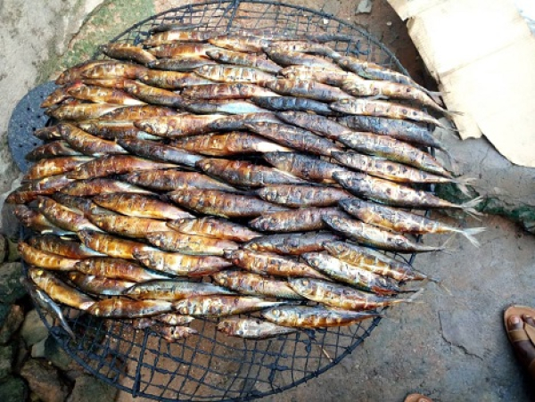 FAO : Des obstacles et défis du commerce transfrontalier du poisson fumé artisanal en Afrique de l’Ouest en étude