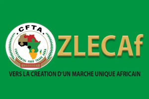 Afrique de l’ouest : Point sur les avancées du Projet Commun d&#039;Appui à la Mise en Œuvre de la ZLECAF au Burkina Faso, en Guinée, au Niger, au Sénégal et au Togo