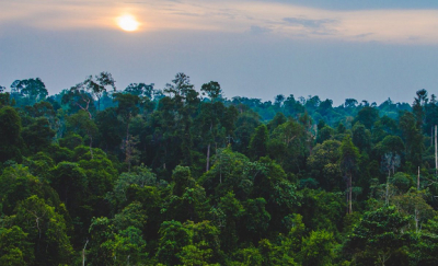 Sommet africain sur le clima: Ecobank et l&#039;Alliance africaine pour le capital naturel lancent &quot;Natural Voices Pledge&quot;